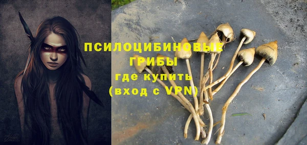 дмт Арсеньев