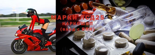 дмт Арсеньев